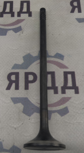 Клапан выпускной - Артикул DP5340-1007012